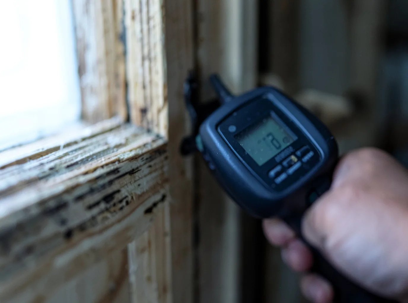 Moisture Inspection And Documentation in West Leyden, NY